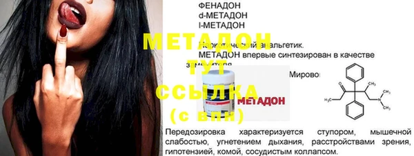сатива Новодвинск