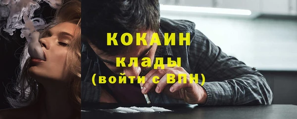 сатива Новодвинск