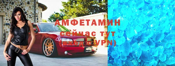 сатива Новодвинск