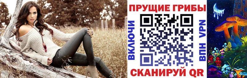 Галлюциногенные грибы Psilocybine cubensis  Шебекино 